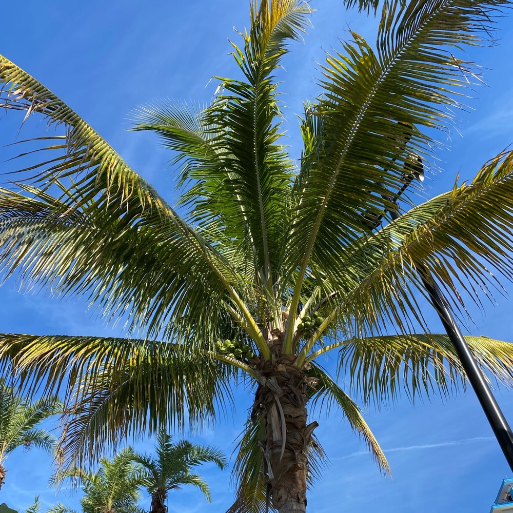 **3 for $15** select Tshirts are 3 for $15.00! Just bundle and send offer :)